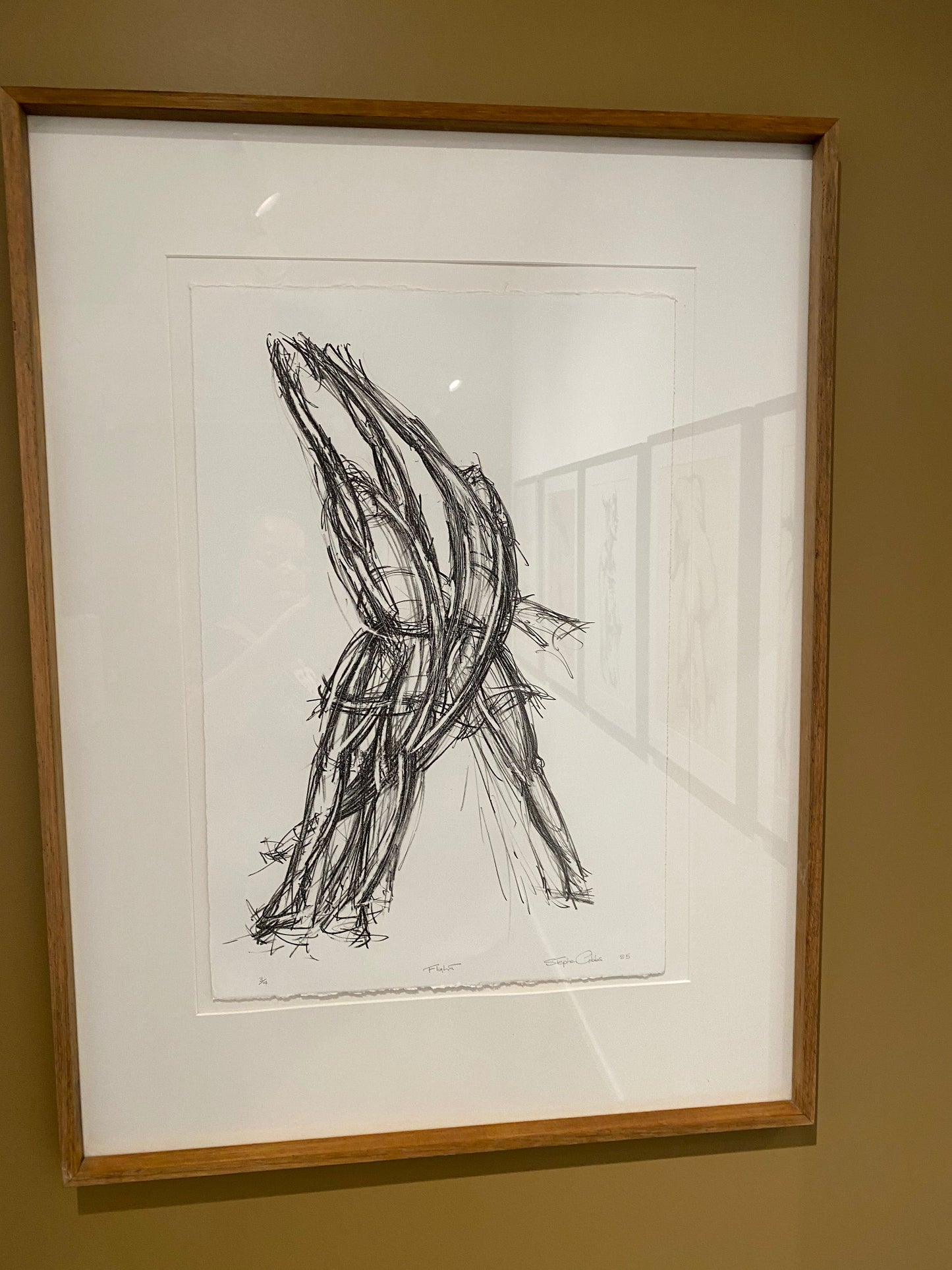 **Private Collection** Flight 1985